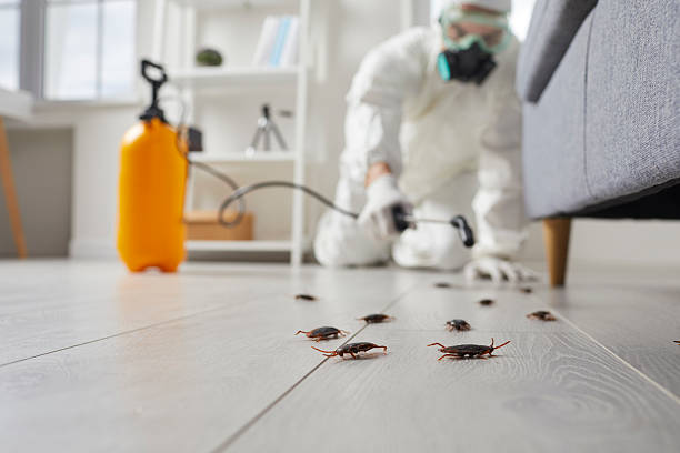 Commercial Kitchen Cockroach Control in Wahneta